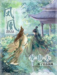 龙傲天怀了只小凤凰